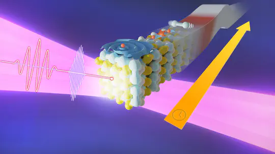 Strong field and attosecond physics in solids